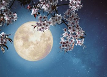 Unik, Bulan Kesepuluh Memiliki Makna Delapan
